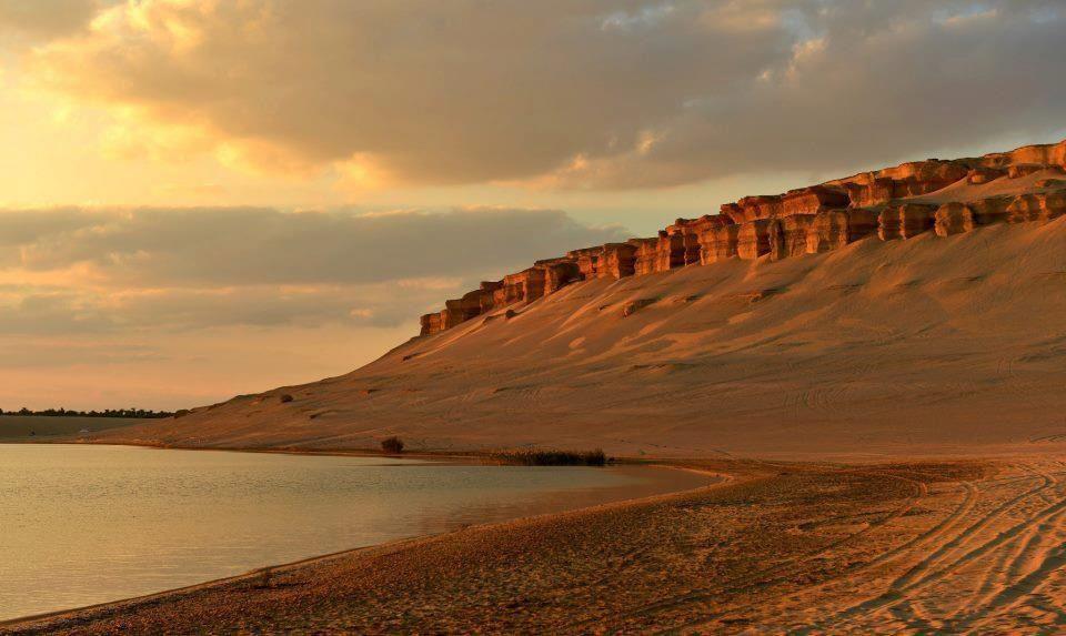 محمية وادي الريان